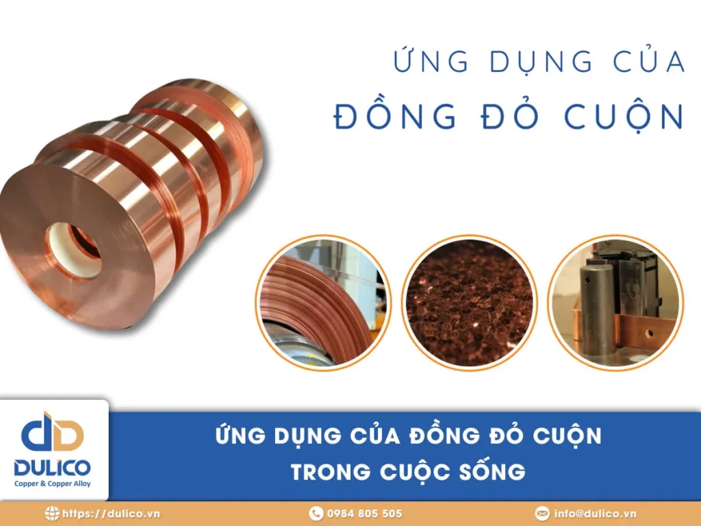 ung dung dong do cuon d