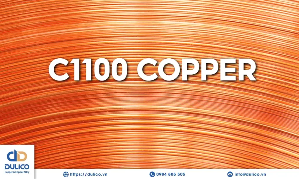 dong nguyen chat c1100