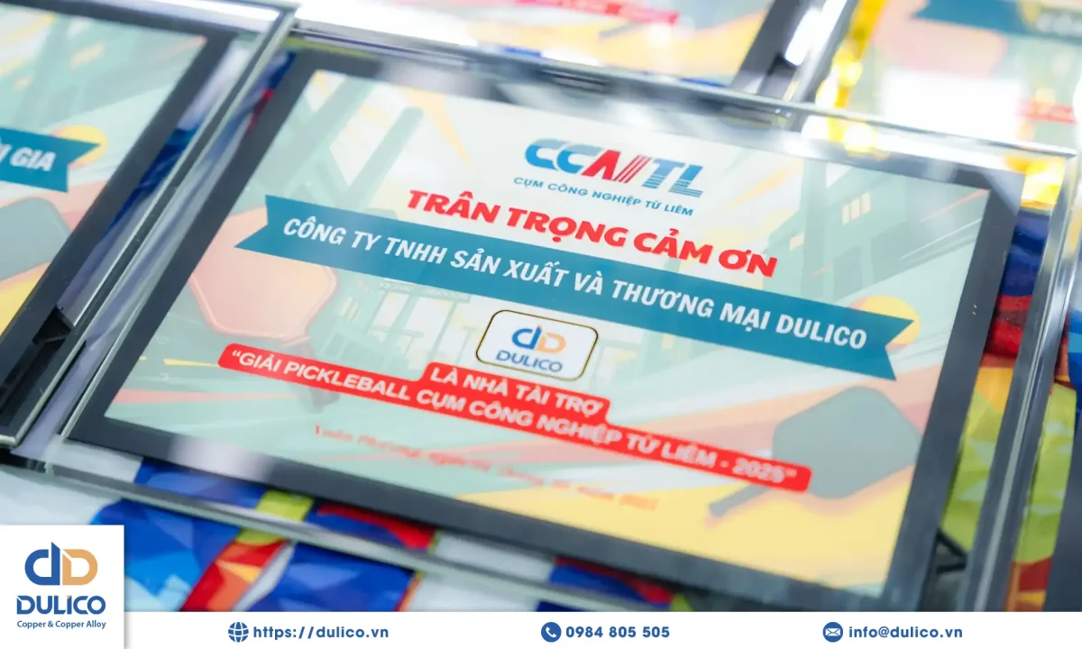 dulico giai pickle ball cum cn tu liem