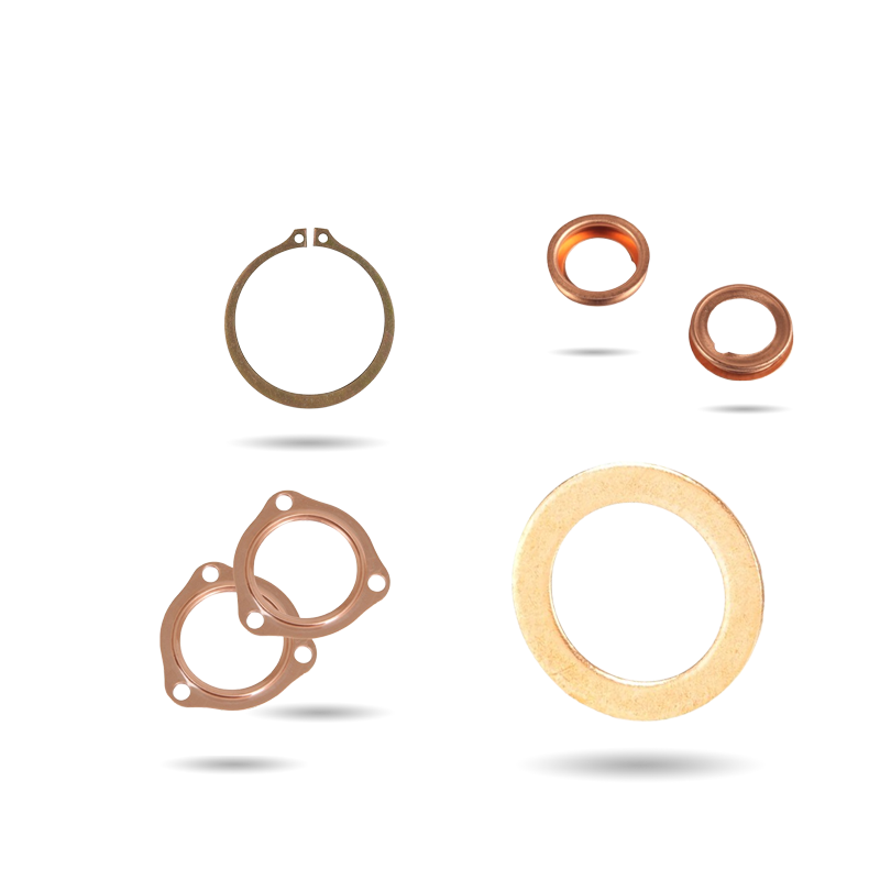 Long đen – vòng đệm – vòng căn