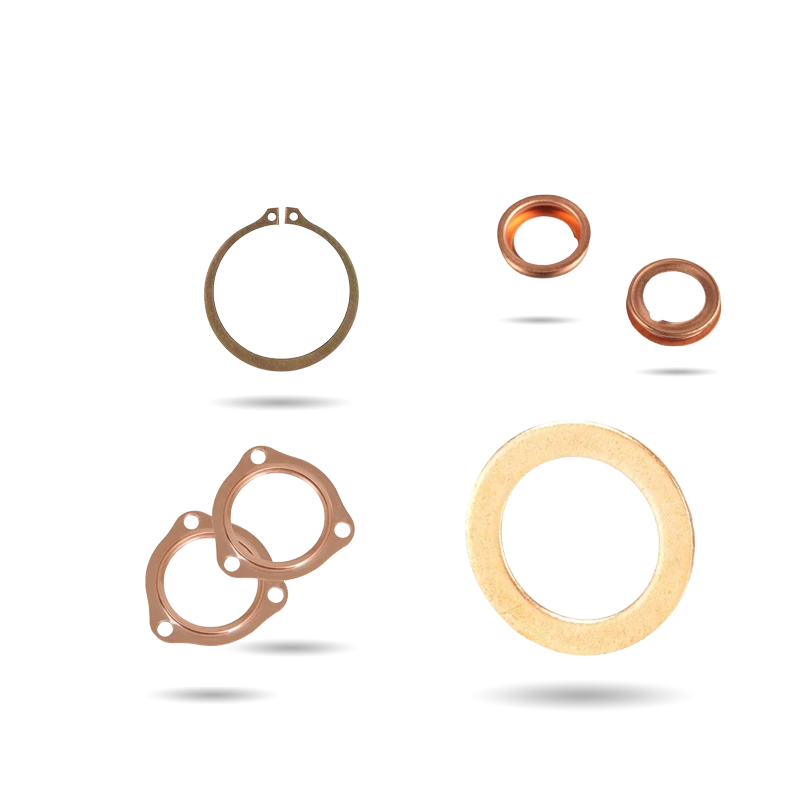 Long đen – vòng đệm – vòng căn