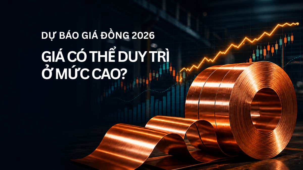 gia dong tang lieu co keo dai 2026